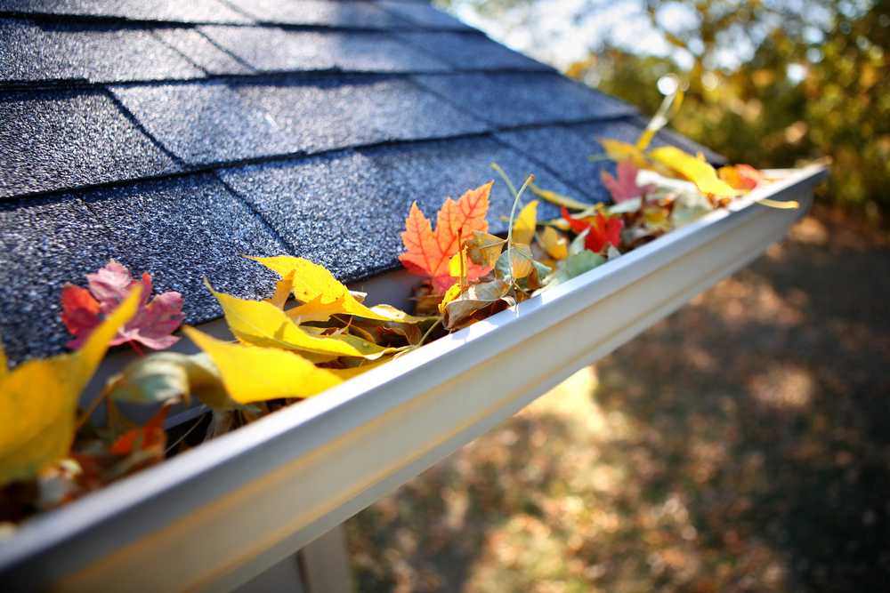 best gutter guards in Delafield, WI