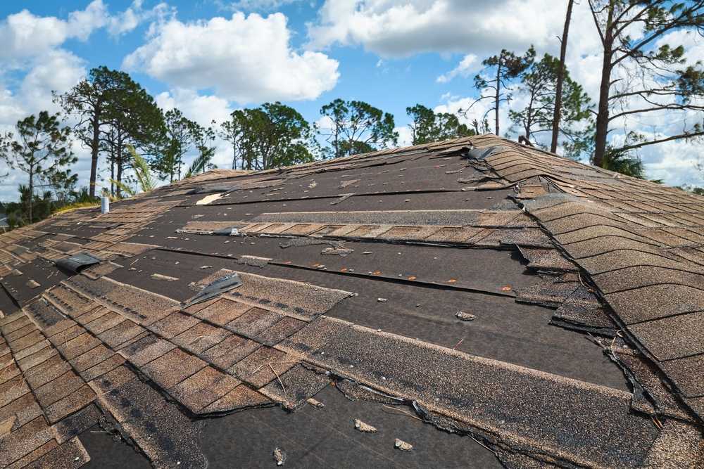 Roof Repair Near Me: Know the Signs for Timely Fixes